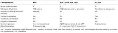 Infections Caused by Carbapenem-Resistant Enterobacteriaceae: An Update on Therapeutic Options